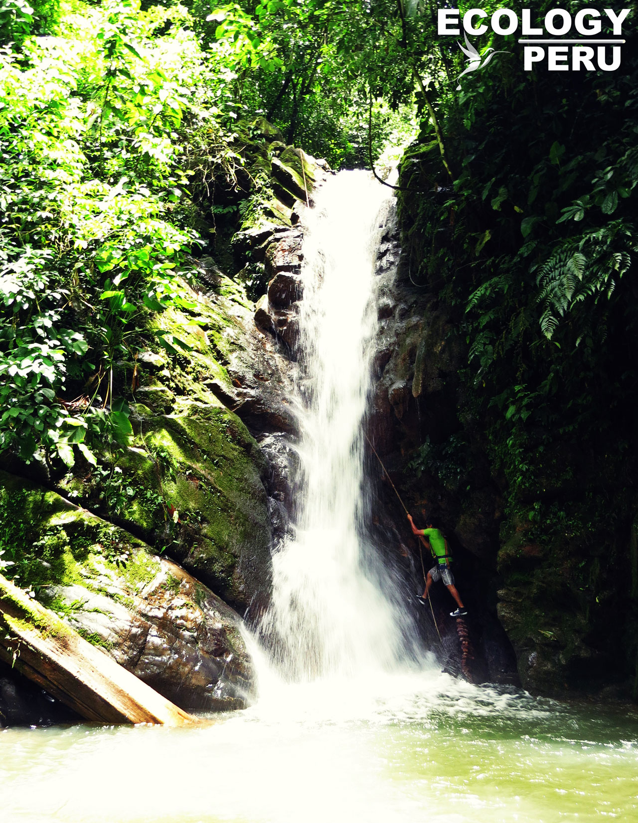 Escalada Ninfas